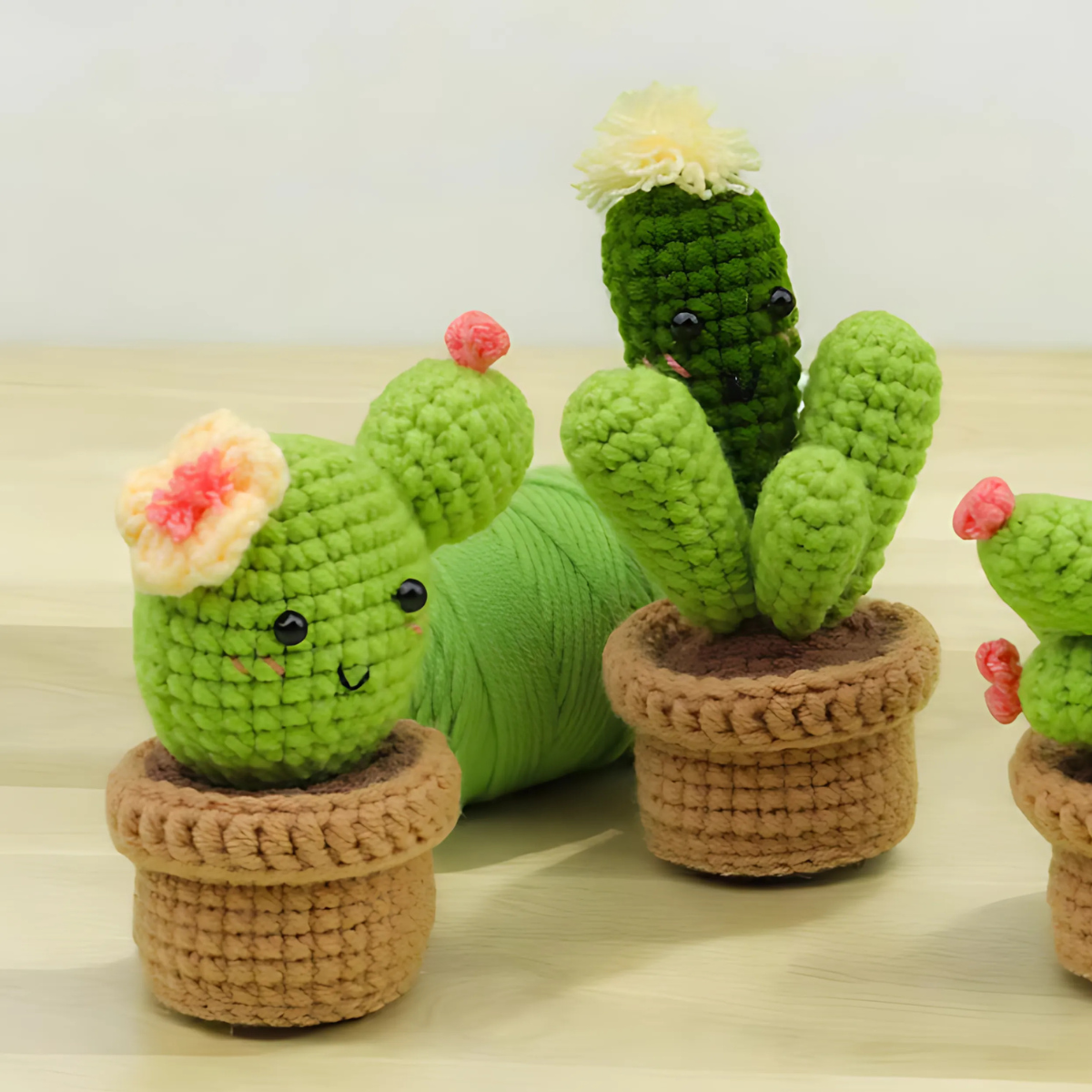 Crochet Cactus Kit 3pcs