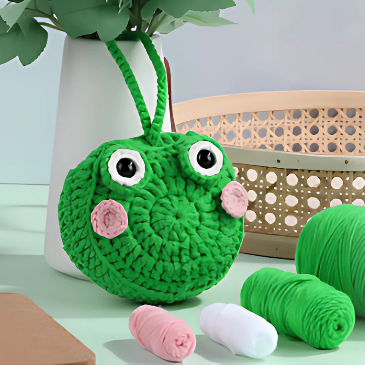 Frog Storage Bag Crochet Kit