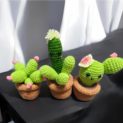Crochet Cactus Kit 3pcs