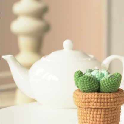 Cactus Crochet Storage Box Kit