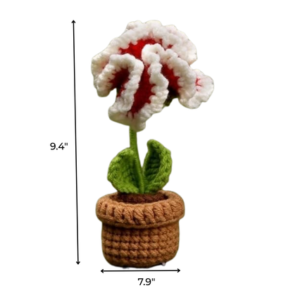 Crochet Flower Pot Kit 6pcs