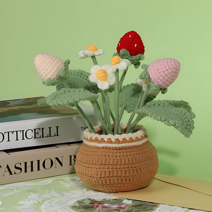 Crochet Strawberry Plant Kit