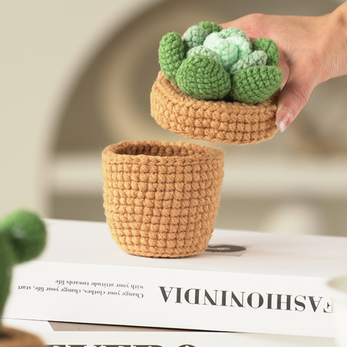 Cactus Crochet Storage Box Kit