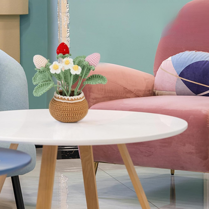 Crochet Strawberry Plant Kit