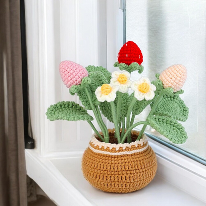 Crochet Strawberry Plant Kit