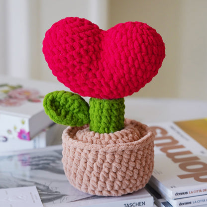 Crochet Heart Plant Kit